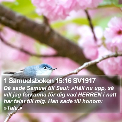 1 Samuelsboken 15:16 SV1917 Bible Verse Image