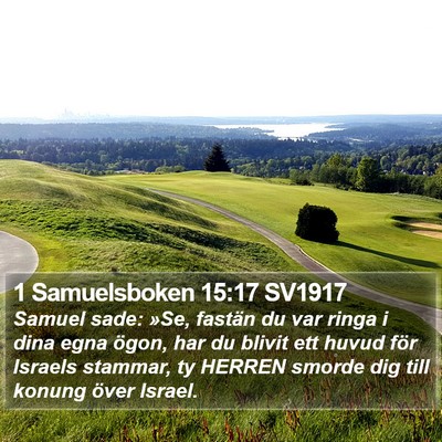 1 Samuelsboken 15:17 SV1917 Bible Verse Image