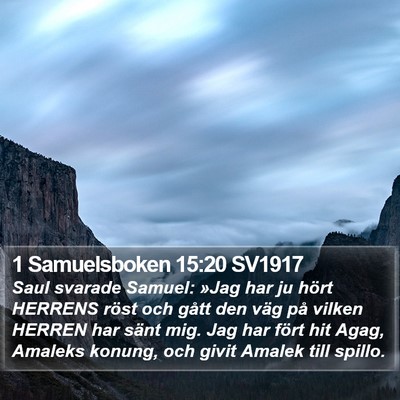 1 Samuelsboken 15:20 SV1917 Bible Verse Image