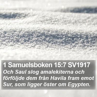1 Samuelsboken 15:7 SV1917 Bible Verse Image