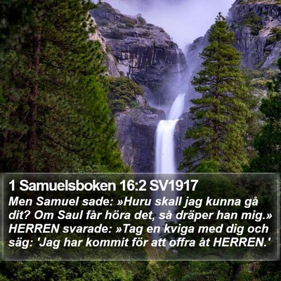 1 Samuelsboken 16:2 SV1917 Bible Verse Image