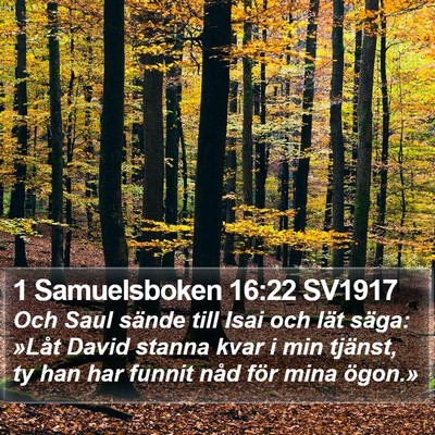 1 Samuelsboken 16:22 SV1917 Bible Verse Image