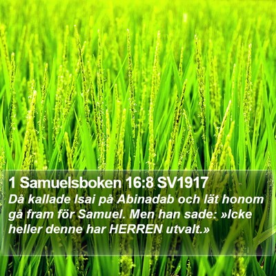 1 Samuelsboken 16:8 SV1917 Bible Verse Image