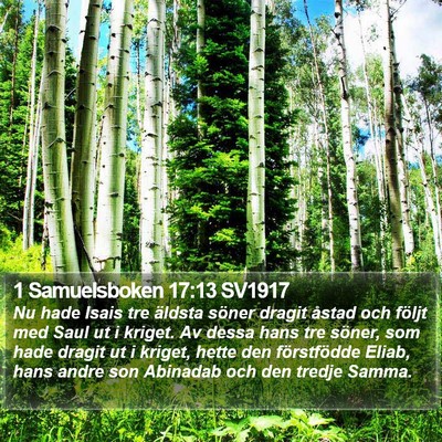 1 Samuelsboken 17:13 SV1917 Bible Verse Image