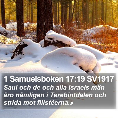 1 Samuelsboken 17:19 SV1917 Bible Verse Image