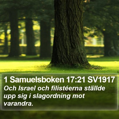 1 Samuelsboken 17:21 SV1917 Bible Verse Image