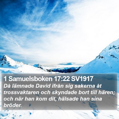1 Samuelsboken 17:22 SV1917 Bible Verse Image