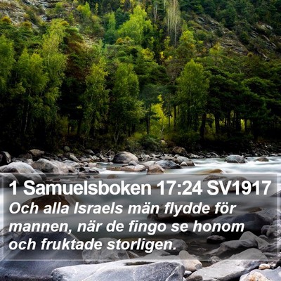 1 Samuelsboken 17:24 SV1917 Bible Verse Image