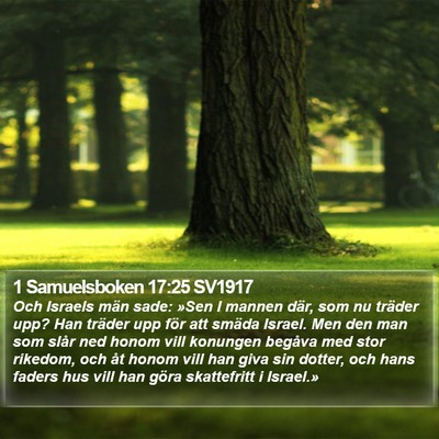 1 Samuelsboken 17:25 SV1917 Bible Verse Image