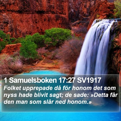 1 Samuelsboken 17:27 SV1917 Bible Verse Image