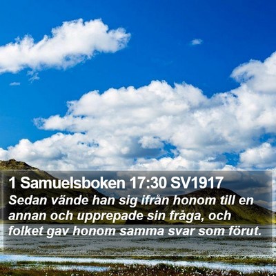 1 Samuelsboken 17:30 SV1917 Bible Verse Image