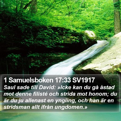 1 Samuelsboken 17:33 SV1917 Bible Verse Image