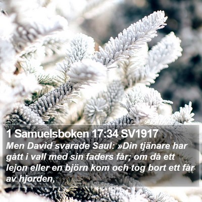 1 Samuelsboken 17:34 SV1917 Bible Verse Image