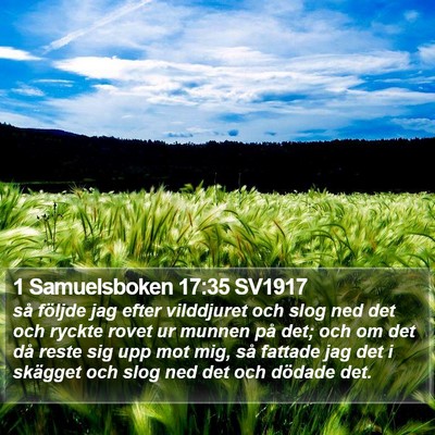 1 Samuelsboken 17:35 SV1917 Bible Verse Image