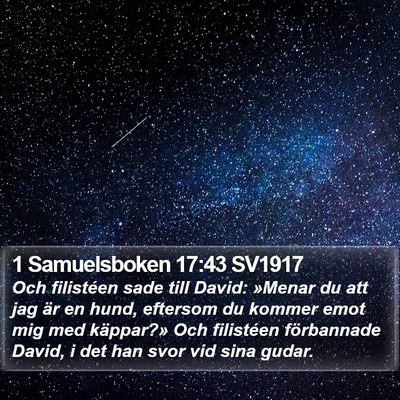 1 Samuelsboken 17:43 SV1917 Bible Verse Image
