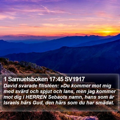 1 Samuelsboken 17:45 SV1917 Bible Verse Image