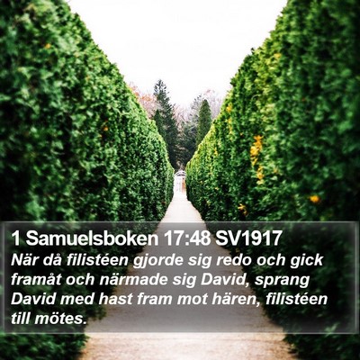 1 Samuelsboken 17:48 SV1917 Bible Verse Image