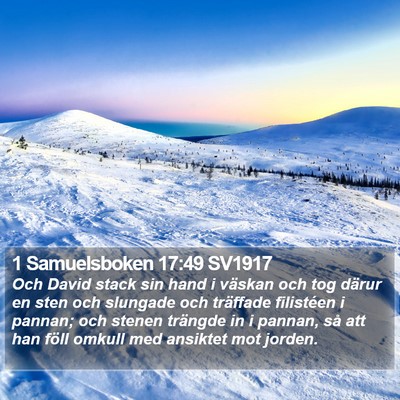 1 Samuelsboken 17:49 SV1917 Bible Verse Image