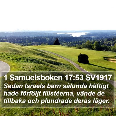 1 Samuelsboken 17:53 SV1917 Bible Verse Image
