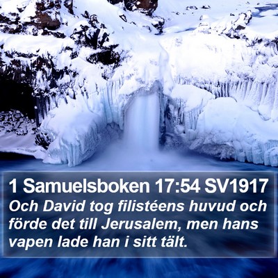 1 Samuelsboken 17:54 SV1917 Bible Verse Image