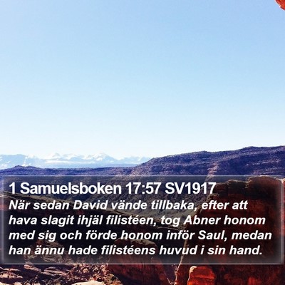 1 Samuelsboken 17:57 SV1917 Bible Verse Image