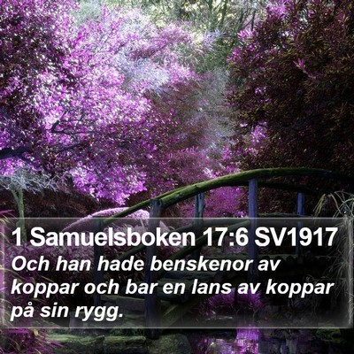 1 Samuelsboken 17:6 SV1917 Bible Verse Image
