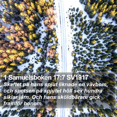 1 Samuelsboken 17:7 SV1917 Bible Verse Image