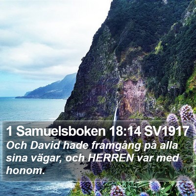 1 Samuelsboken 18:14 SV1917 Bible Verse Image