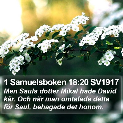 1 Samuelsboken 18:20 SV1917 Bible Verse Image