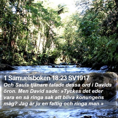 1 Samuelsboken 18:23 SV1917 Bible Verse Image