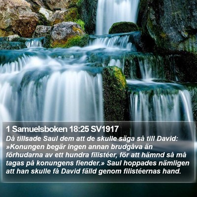 1 Samuelsboken 18:25 SV1917 Bible Verse Image