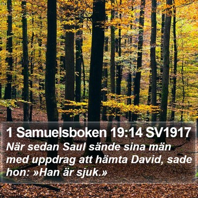 1 Samuelsboken 19:14 SV1917 Bible Verse Image