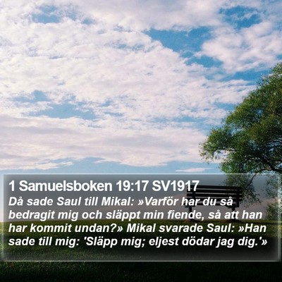 1 Samuelsboken 19:17 SV1917 Bible Verse Image