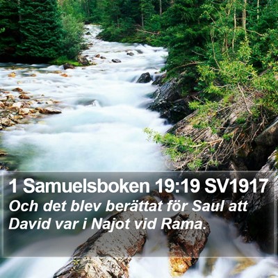 1 Samuelsboken 19:19 SV1917 Bible Verse Image