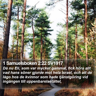 1 Samuelsboken 2:22 SV1917 Bible Verse Image