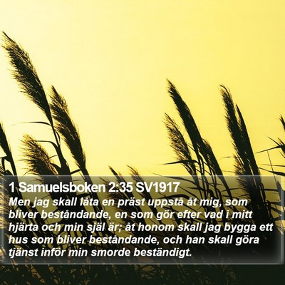 1 Samuelsboken 2:35 SV1917 Bible Verse Image