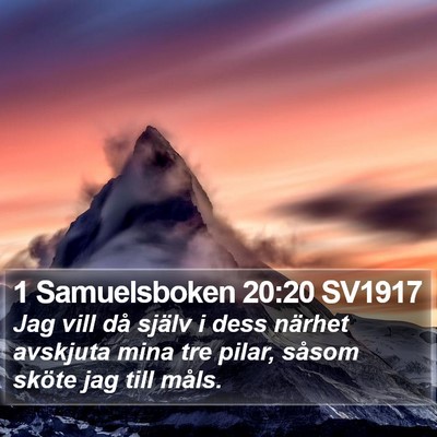 1 Samuelsboken 20:20 SV1917 Bible Verse Image