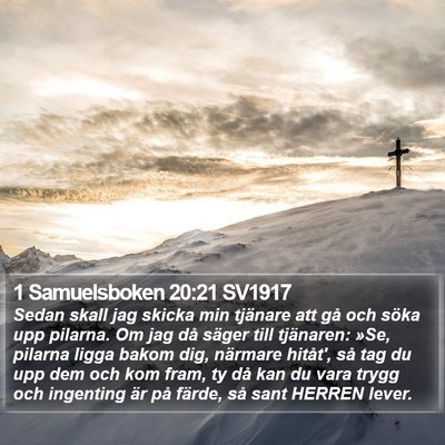1 Samuelsboken 20:21 SV1917 Bible Verse Image