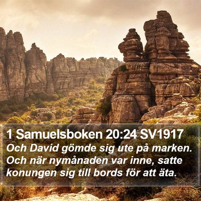 1 Samuelsboken 20:24 SV1917 Bible Verse Image