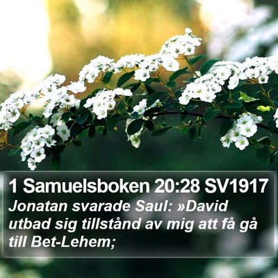 1 Samuelsboken 20:28 SV1917 Bible Verse Image
