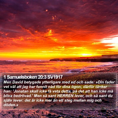 1 Samuelsboken 20:3 SV1917 Bible Verse Image