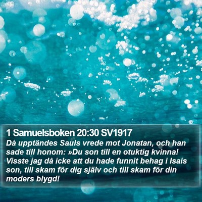 1 Samuelsboken 20:30 SV1917 Bible Verse Image
