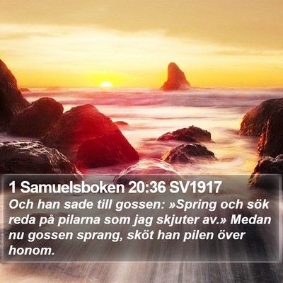 1 Samuelsboken 20:36 SV1917 Bible Verse Image