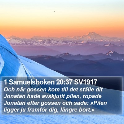 1 Samuelsboken 20:37 SV1917 Bible Verse Image