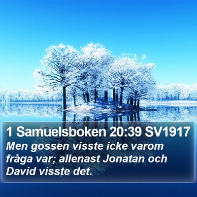 1 Samuelsboken 20:39 SV1917 Bible Verse Image