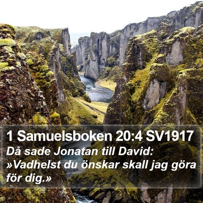 1 Samuelsboken 20:4 SV1917 Bible Verse Image