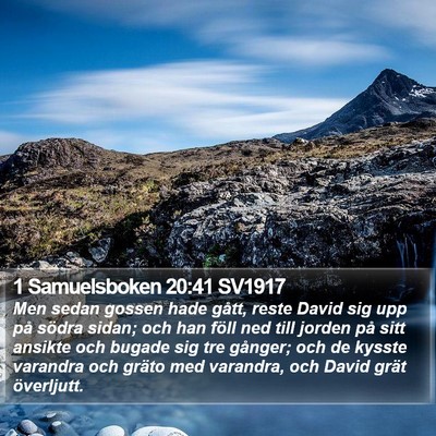 1 Samuelsboken 20:41 SV1917 Bible Verse Image