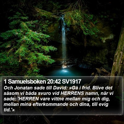 1 Samuelsboken 20:42 SV1917 Bible Verse Image