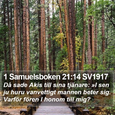 1 Samuelsboken 21:14 SV1917 Bible Verse Image