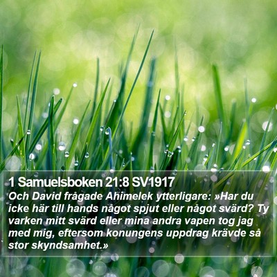 1 Samuelsboken 21:8 SV1917 Bible Verse Image